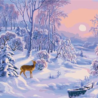 Картина за рисуване по номера - Зима 40 х 50 см VA-2386